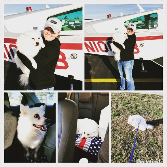 Meet your Posher, Gina - Picture 3 of 5